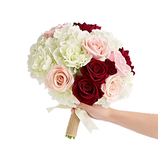 Ivory Blossom Radiance