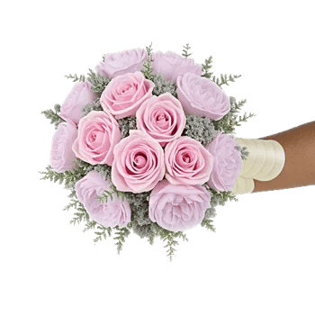 Pastel Pink Roses