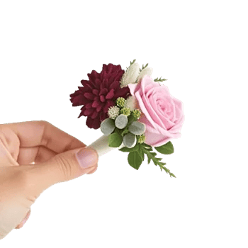 Plum Blossom Radiance