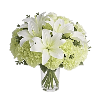 Ivory Blossom Radiance