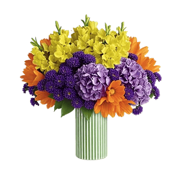 Petal Radiance Bliss