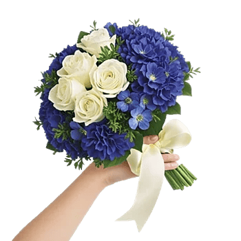 Serene Petal Harmony