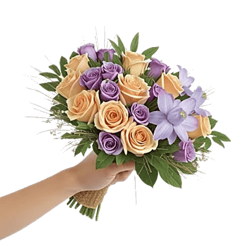 Pastel Pink Roses