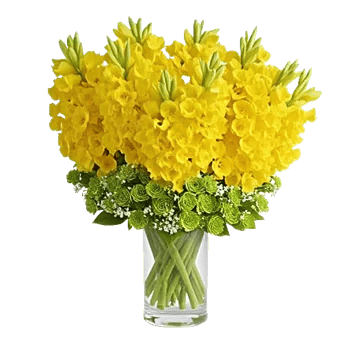 Radiant Bloom Cascade