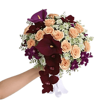 Orchid Bloom Cascade