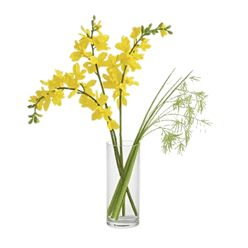 Ivory Blossom Radiance