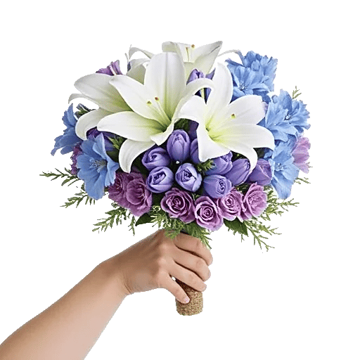 Blossom Petal Serenity