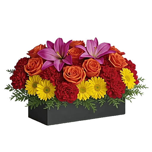 Blossom Glow Symphony