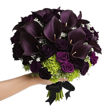 Elegant Calla Lilies