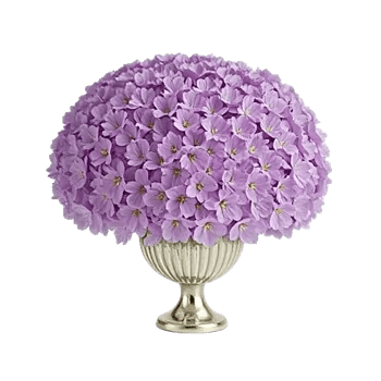 Orchid Bloom Cascade