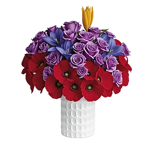 Petal Radiance Bliss