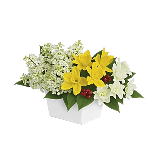 Graceful Lily Display