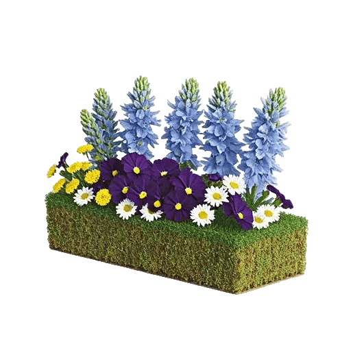 Serenity Blossom Grace