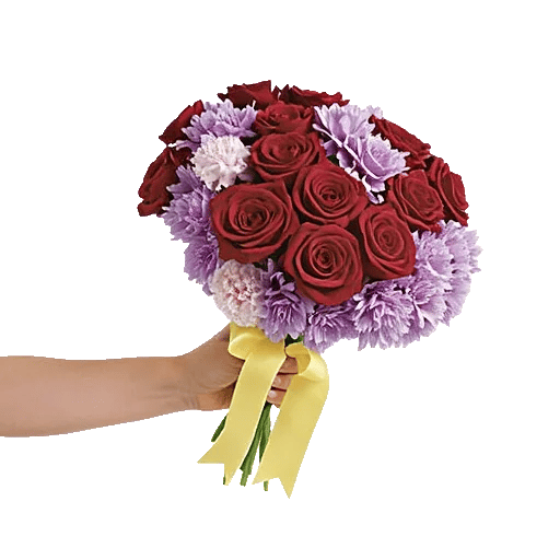 Blushing Rose Symphony