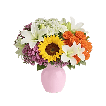 Blossom Radiant Whisper