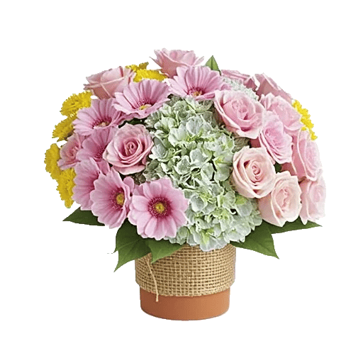 Serene Petal Harmony