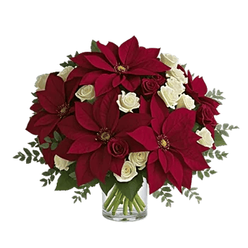 Petal Radiance Bliss