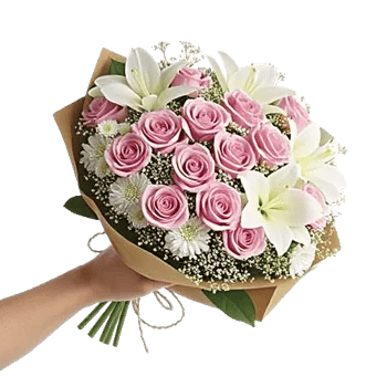 Blushing Rose Symphony