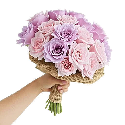 Petal Softness Display