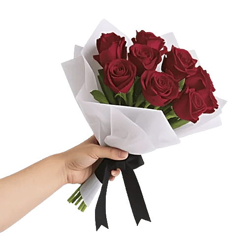 Crimson Rose Elegance