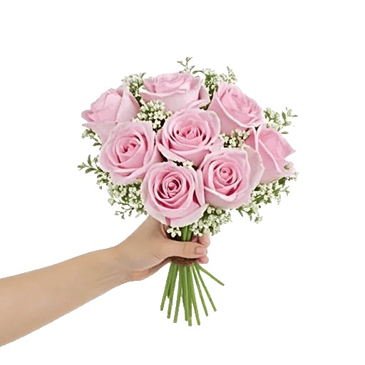Pink Pastel Roses
