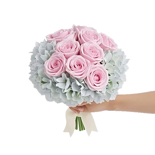 Blushing Rose Symphony