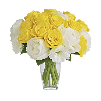 Petal Radiance Bliss