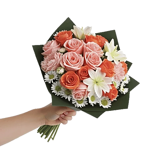 Pastel Pink Roses