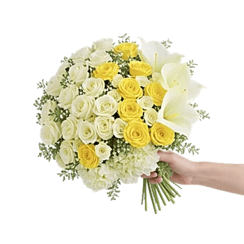Ivory Garden Grace