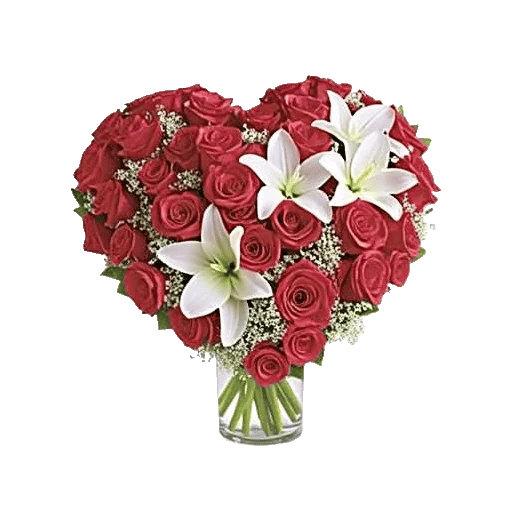 Blushing Rose Symphony