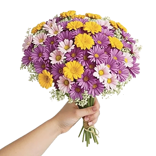 Golden Petal Harmony