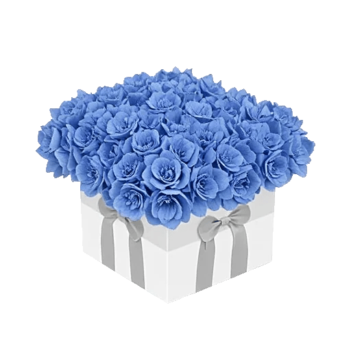 Blooming Serenity Display