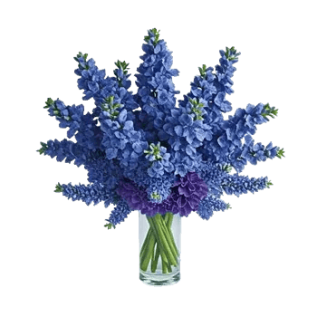 Sapphire Bloom Whisper