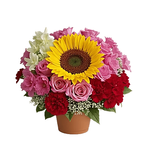 Bright Sunflower Mix