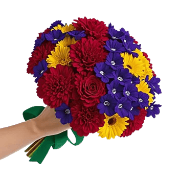 Crimson Rose Elegance