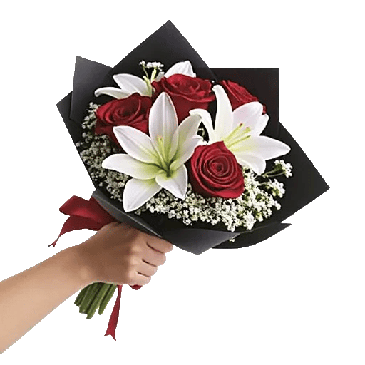 Crimson Rose Elegance