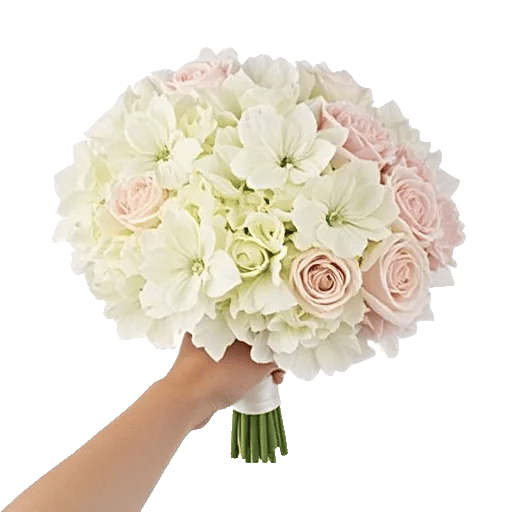 Ivory Blossom Radiance