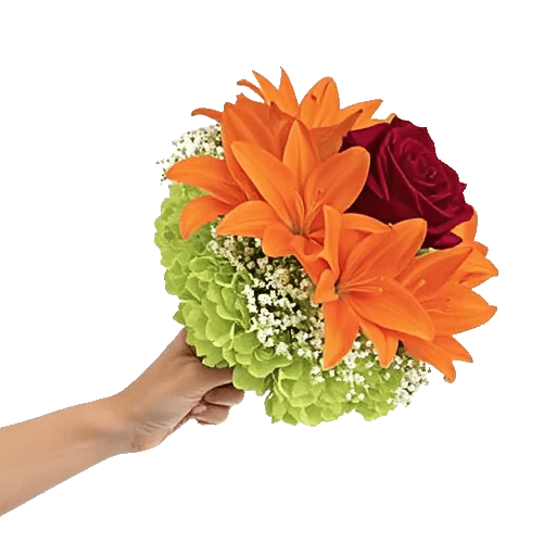 Delicate Petal Cascade