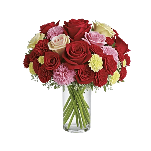 Radiant Rose Symphony