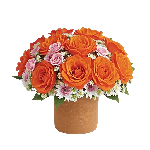Petal Radiance Bliss