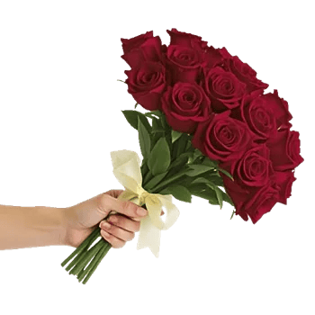 Crimson Rose Elegance