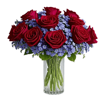 Crimson Blossom Harmony