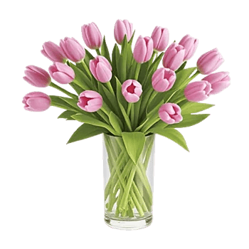 Velvet Tulip Display