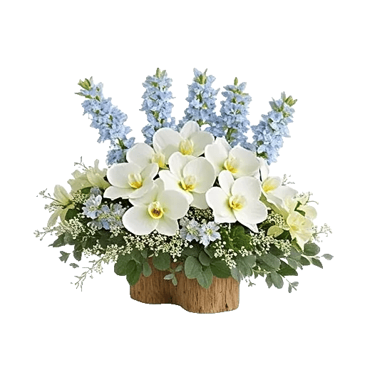 Modern White Orchids