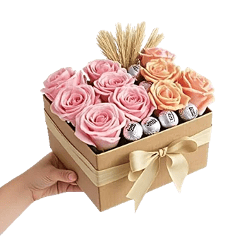 Pastel Pink Roses