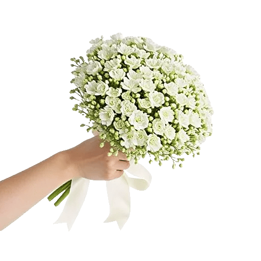 Ivory Blossom Radiance