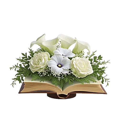 Elegant Calla Lilies