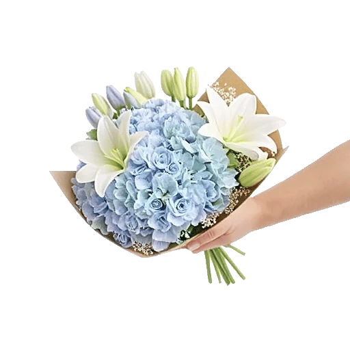 Serene Petal Harmony