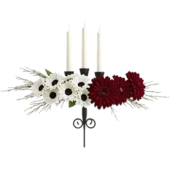 Elegant Calla Lilies