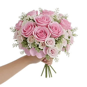 Pastel Pink Roses